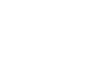 Company Director